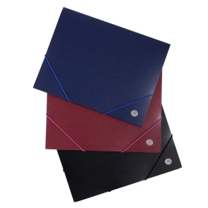 Carpeta 3 solapas Plast c/elas Of FW