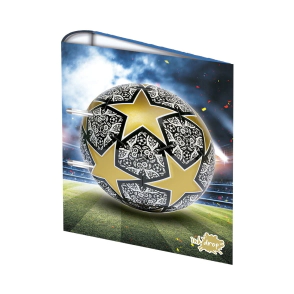 CARPETA 2X40 Pelotas