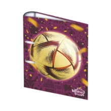 CARPETA 2X40 Pelotas