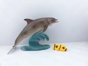 Animales del Oceano Delfin