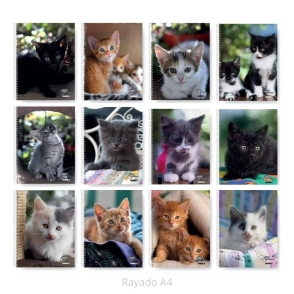 CUADERNO A4 ESPIRALADO GATITOS T/F - 80 Hjs Rayadas