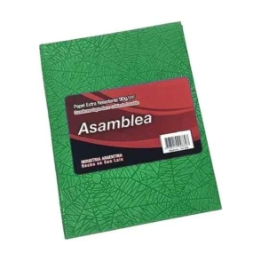 CUADERNO ARAÑA 16x21 T/C 98Hjs RAYADAS VERDE ASAMBLEA