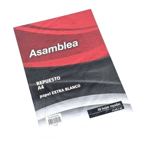 REPUESTO A4 ASAMBLEA 5 PERF. 48Hjs RAYADAS