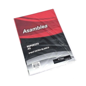 REPUESTO A4 ASAMBLEA 5 PERF. 48Hjs CUADRICULADAS