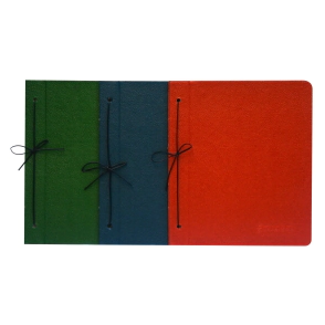 CARPETA N3 DOS TAPAS CON CORDON