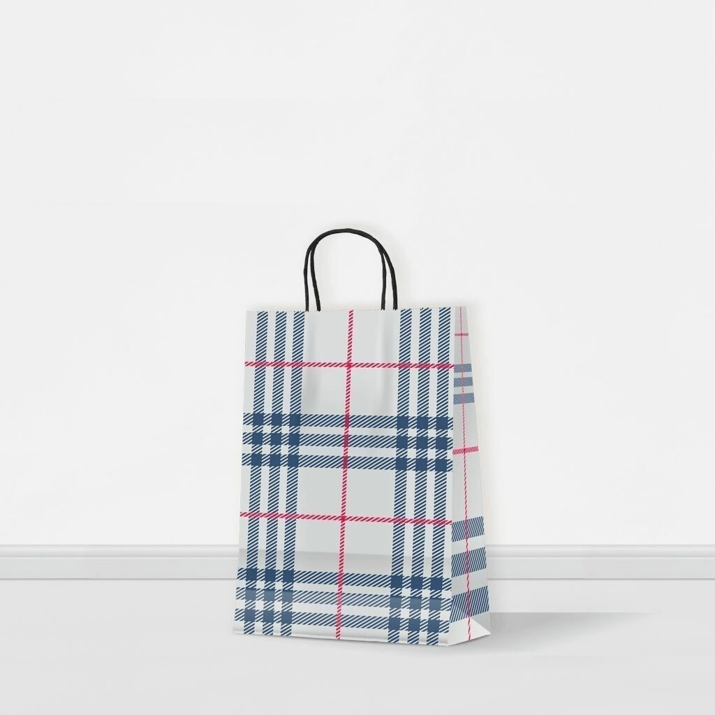 Bolsa Escocesa 22x10x30