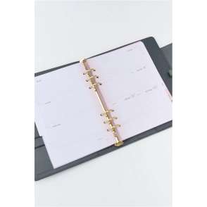 AGENDA 2026 FW DIARIA 15x21 CON BROCHE TIMELESS CLASICA