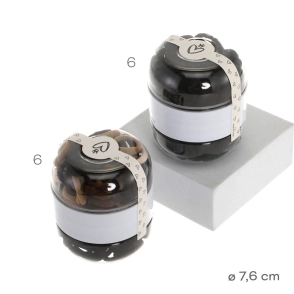 BOX COLITAS TRENDY