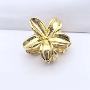 BROCHE TRENDY
