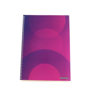 Cuaderno Asamblea Office 21x29,7 Esp 80hr