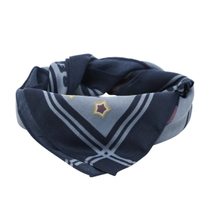 PA&Ntilde;UELO SEDA TRENDY