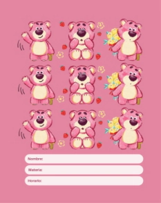 SEPARADORES DE CARPETA N&deg;3 LOTSO