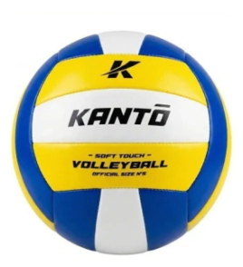 PELOTA DE VOLLEY N&deg;5