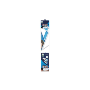 BARRILETE AFA OFICIAL SELECCION ARGENTINA 25X47 CM
