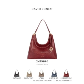 CARTERA DAVID JONES