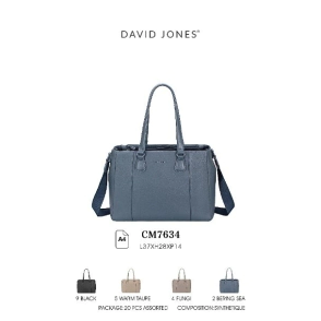 CARTERA DAVID JONES