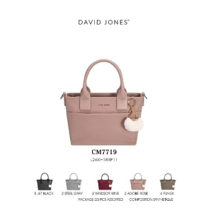 CARTERA DAVID JONES
