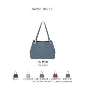 CARTERA DAVID JONES