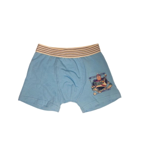SET X2 BOXERS TALLE 2 TOYS STORY