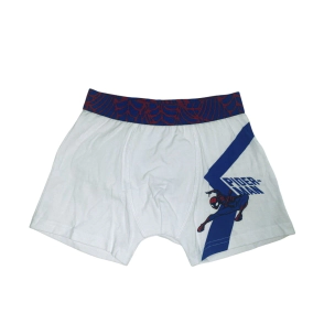 SET X2 BOXERS TALLE 3 SPIDERMAN