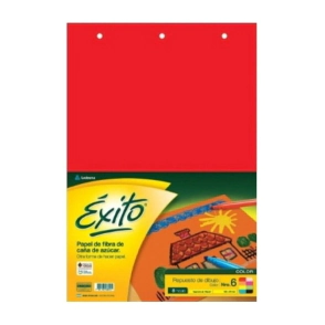 Rto Exito Dib N6 Doble Oficio Color